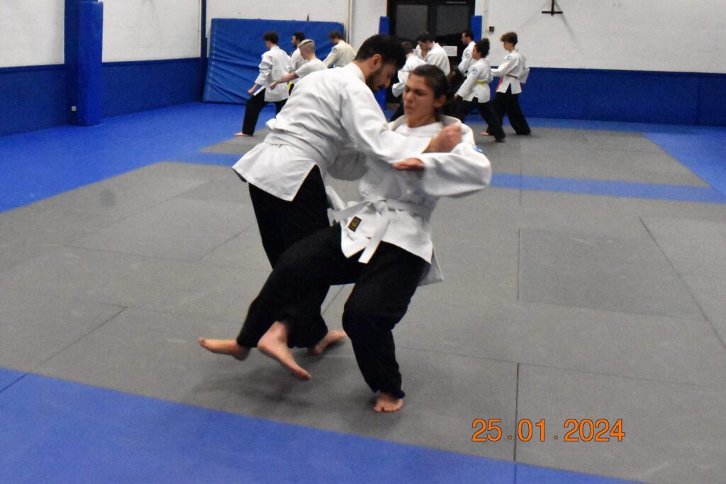 Sahin jiu-jitsu grades 25/01/2024