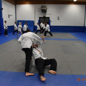 Passage grades 25/01/2024 Céline 8 Passage grades 25/01/2024 Céline 8