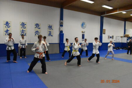 Les élèves du Jiu-jitsu révisant les coups de pieds